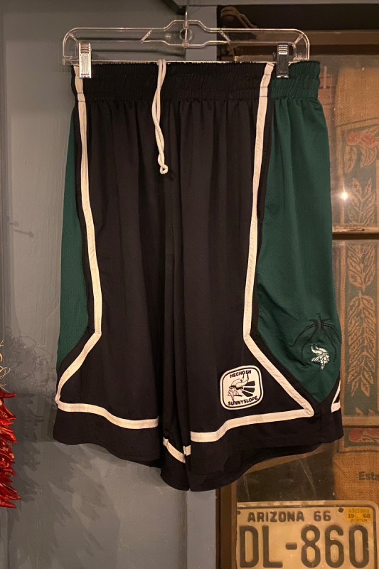 Basketball Shorts - Viking Logo